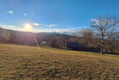 Spațiu comercial, în Sohodol