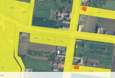 Teren Construcții intravilan de 981 mp, în Comloșu Mare - 2