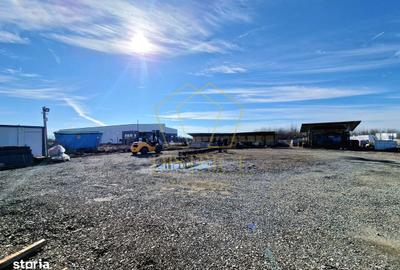 Spațiu comercial, de 1,000 mp, în Moșnița Nouă - 5