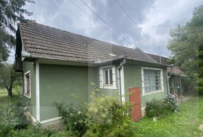 Casa tradi?ionala cu teren generos Belin - 9