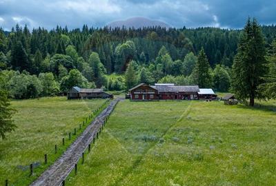 Ferma de vanzare, teren 21436 mp intravilan, Cosnea, Agas - 14