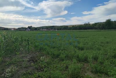 Comision %! Teren intravilan 22 400 mp, suprafata plana, sat Fundatura Cluj - 2