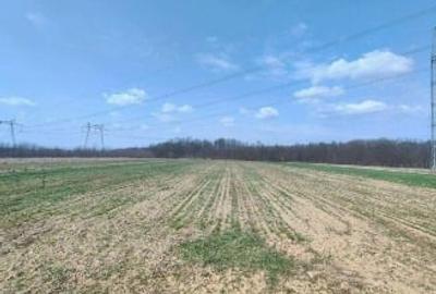 Casă individuală cu 3 camere cu Teren 2760 Mp în Budieni - 5