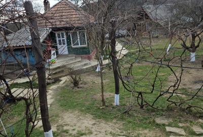 Casă cu 2 camere în Bătrâni