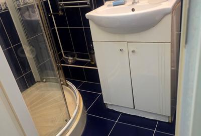 Sala Palatului, Ion Campineanu - 16