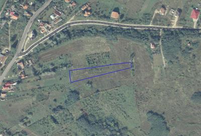 Teren agricol extravilan de 4168 mp, în Vest