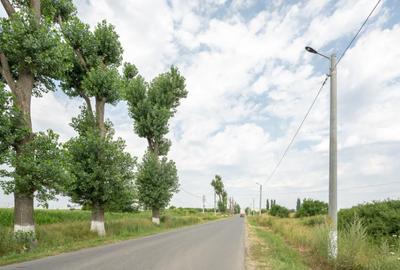 Teren de 30000 mp, în Cernica - 8