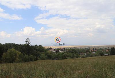 Teren intravilan cu PUZ si PUD 2 loturi - 6