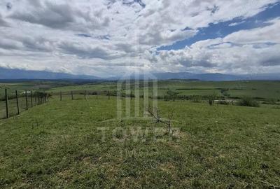 Teren de 11500 mp, în Daia - 11