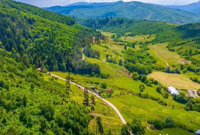 Teren de 7400 mp, în Tărlungeni - 2