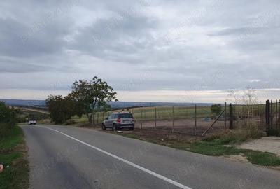 Teren de 4500 mp, în Crâng - 6