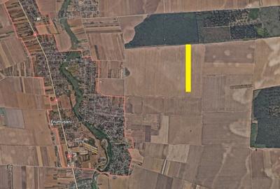 Teren 7063 mp extravilan Frumusani - 1