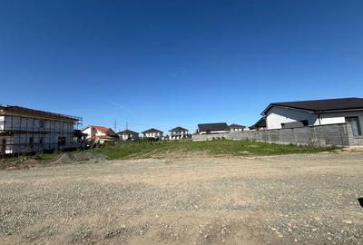 Spațiu comercial, în Moșnița Nouă - 5