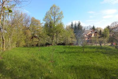 Teren de 1950 mp, în Breaza - 10