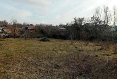 Teren - 7.132 mp zona deosebita , str Alexandru cel Bun - 4