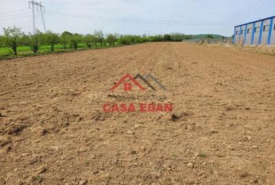 Teren extravilan in Banesti, 2400mp, 10e - 1