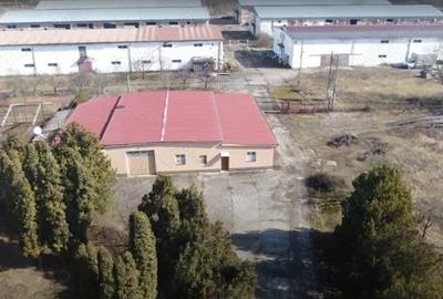 Spațiu comercial, în Central - 3