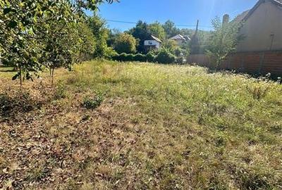 Teren construibil cartier Goranu,jud.Valcea,comision 0 - 3