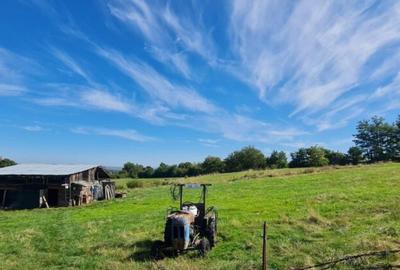 Teren de 15000 mp, în Central - 4