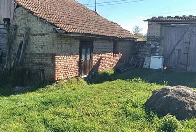 Casă cu 2 camere în Ezeriș - 5