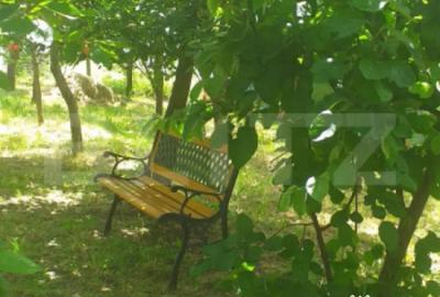 Teren în Central - 1