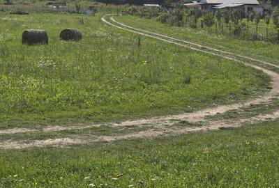 Teren de 1600 mp, în Cara - 1