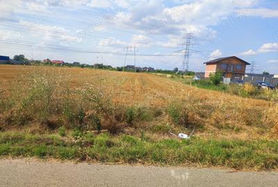 Teren de inchiriat, 5000mp 7200mp Domnesti - Ilfov ,stradal - 2