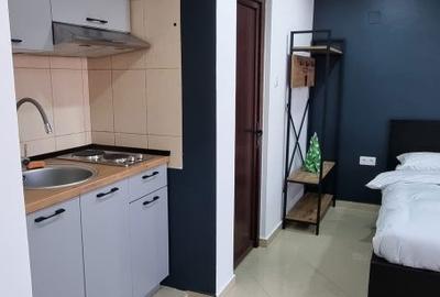 Apartament în Ultracentral - 3