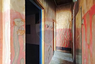Vanzare Vila Interbelica Stradala, Pta Regina Maria, Ocazie Investitie - 30