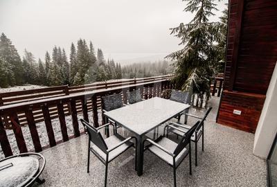 Cabana A-frame 5 camere la Belis / Business functional si profitabil - 16