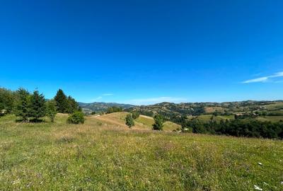 Teren intravilan 3791 mp cu priveliste deosebita si PUZ aprobat - 7