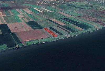 Teren agricol extravilan de 5000 mp, în Vrancea - 2