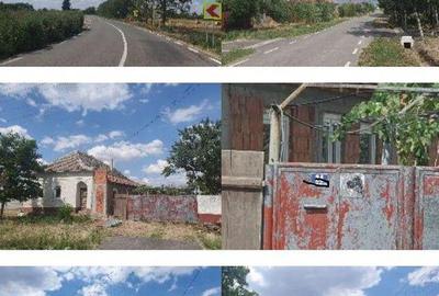 Cota de 1/2 din casa situata in com. Livezilor, jud. Timis - 5