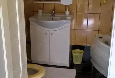 Casă cu 5 camere cu Teren 767 Mp în Buziașului - 2