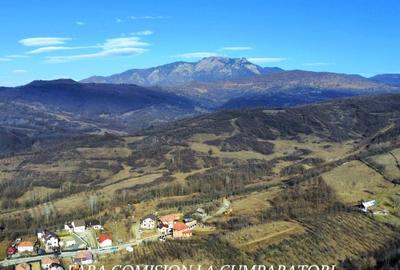 Teren de 2378 mp, în Călimănești - 5