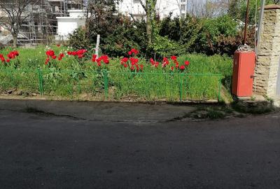 Casă individuală cu 12 camere cu Teren 1000 Mp în Central - 17