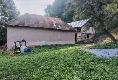 Casă cu 3 camere cu Teren 4000 Mp în Urseiu - 6
