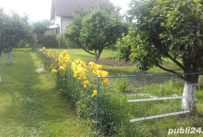 Casă individuală cu 5 camere cu Canalizare în Central