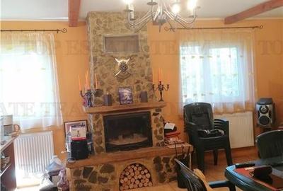 Casa de vacanta in Arges Casa de vacanta in Arges - 3