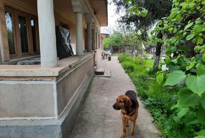 Casă cu 4 camere în Oncești - 6