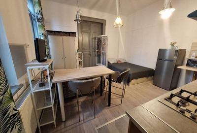 Apartament 1 camera Str.Mihai Bravu/Domnesca 25 mp renovat mobilat 300Euro/luna - 2