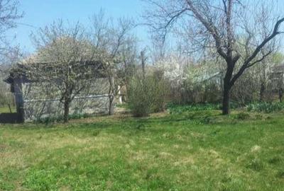 Casa și  teren de vânzare Luica jud Călărași - 4