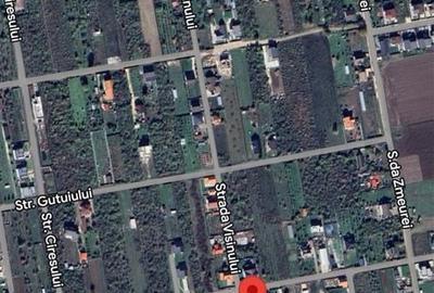 Spațiu comercial, în Sânpetru - 6