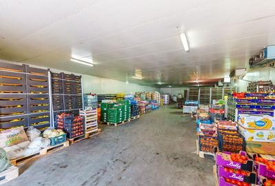 Depozit frigo de inchiriat in Sacalaz - 8