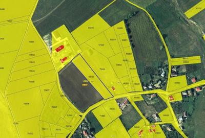 Teren de 4240 mp, în Tăutești - 5