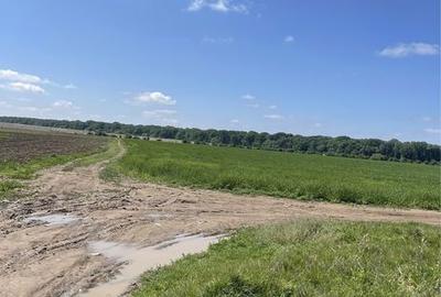 Spațiu comercial, în Ciorogârla