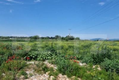 Teren extravilan, 1203 mp pretabil pentru investitie ,casa p Teren extravilan, 1203 mp pretabil pentru investitie ,casa p - 6