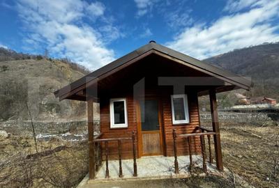 Teren intravilan cu cabanu?a, 3797 mp, Valea Manastiri - 2