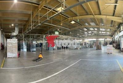 Proprietate Industriala 7000 mp hala in Calea Sagului Timisoara - 3