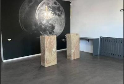 Delfinariu - bd. Mamaia, spatiu comercial , 325 mp. - 3